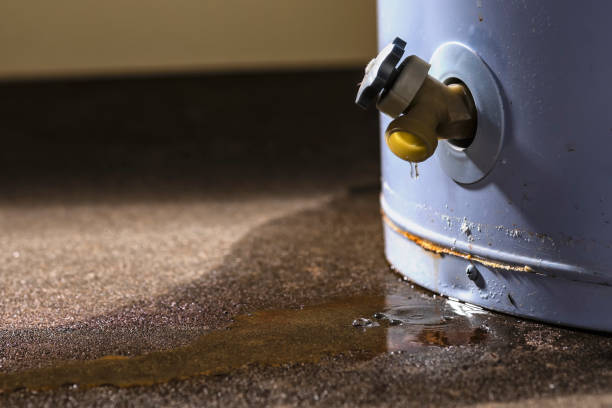 Best Emergency water extraction  in Water Valley, MS