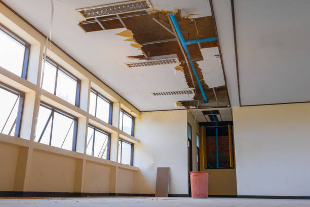 Best Professional water damage repair  in Water Valley, MS