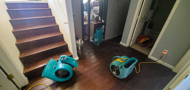 Best Fire Damage Restoration  in Water Valley, MS