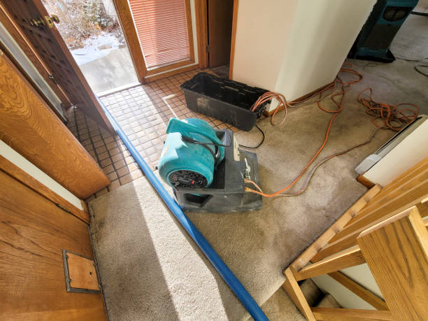  Water Valley, MS Water damage restoration Pros