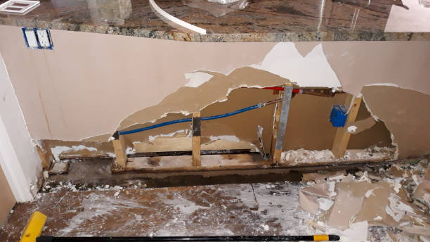 Best Flooded house restoration  in Water Valley, MS