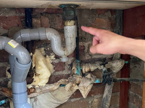 Best Flood damage cleanup  in Water Valley, MS
