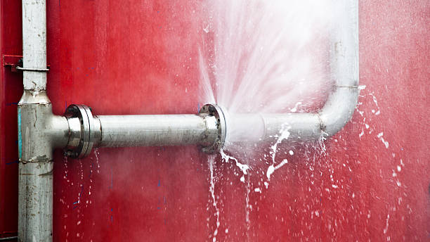Best 24/7 water damage repair  in Water Valley, MS