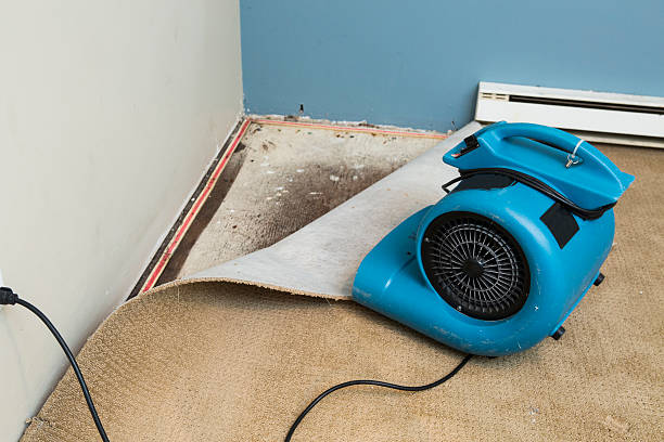 Best Water damage restoration specialists  in Water Valley, MS